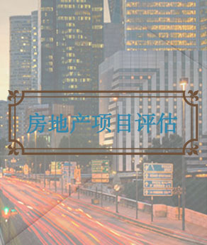 四川房地产项目评估