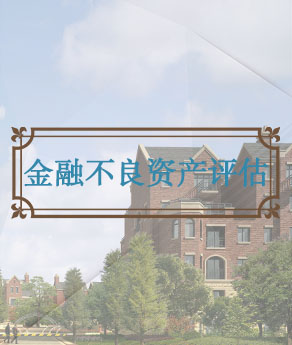四川金融不良资产评估